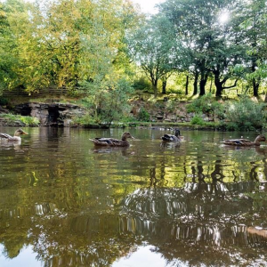 Opening Up The Creative Space